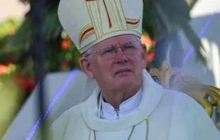 Dom Jaime Spengler na Romaria do Divino Pai Eterno