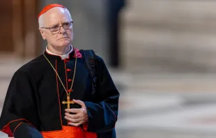 O arcebispo de São Paulo, cardeal Odilo Pedro Scherer.