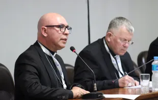 O bispo-auxiliar de Brasília, dom Ricardo Hoepers, secretário-geral da CNBB na 40ª Assembleia Geral Ordinária do CELAM.