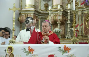 O bispo de Bragança Paulista (SP), dom Sérgio Aparecido Colombo.