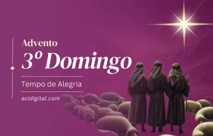 Terceiro Domingo do Advento