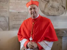 Cardeal Ángel Fernández Artime, décimo sucessor de dom Bosco