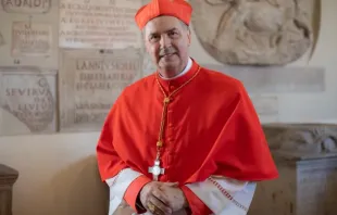 Cardeal Ángel Fernández Artime, décimo sucessor de dom Bosco
