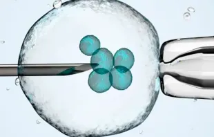 A Suprema Corte do estado do Alabama (EUA) decidiu que os embriões criados por meio de fertilização in vitro (FIV) são crianças humanas.