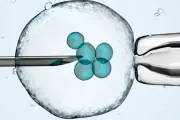A Suprema Corte do estado do Alabama (EUA) decidiu que os embriões criados por meio de fertilização in vitro (FIV) são crianças humanas.