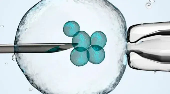 A Suprema Corte do estado do Alabama (EUA) decidiu que os embriões criados por meio de fertilização in vitro (FIV) são crianças humanas. ?? 