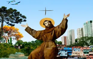 Cartaz da Campanha da Fraternidade 2025 sobre ecologia integral