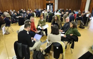 II Encontro Sinodal Nacional.