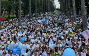 Cerca de 10 mil pessoas participaram da “Caminhada pela Vida Contra o Aborto” em Belo Horizonte.