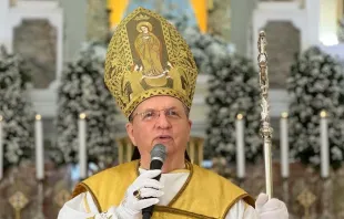 Bispo da Administração Apostólica São João Maria Vianney, dom Fernando Rifan