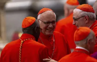 Cardeais da Igreja no consistório de 2019.