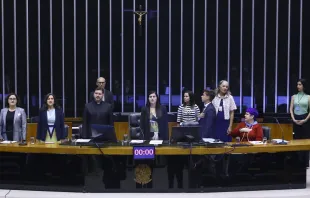 A Sessão Solene em homenagem ao Dia Nacional do Nascituro aconteceu hoje (9), no plenário da Câmara dos Deputados.