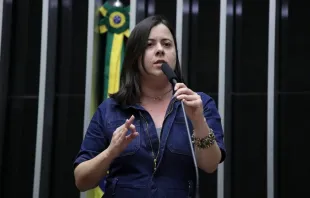 A deputada do PSOL, Sâmia Bomfim é autora do Projeto de Lei 2520/24