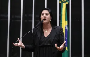 A deputada federal Chris Tonietto é autora do PDL 346/2025 que pede a sustação da resolução nº 265 do Conanda