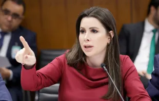A líder da Minoria na Câmara dos Deputados, deputada federal Caroline de Toni.