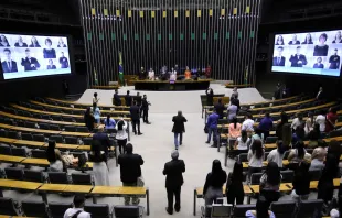 Sessão solene em homenagem ao Dia do Nascituro ontem (14), no plenário da Câmara dos Deputados