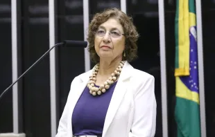 Lenise Garcia, presidente do Movimento Brasil sem Aborto na sessão solene em homenagem ao Dia do Nascituro no plenário da Câmara dos Deputados