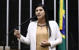 A deputada federal Chris Tonietto é autora do PDL 3/2025 aprovado ontem (5), na sessão deliberativa extraordinária da Câmara