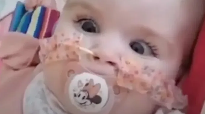 Imagem de Indi Gregory ?? 