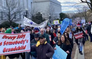 Manifestantes pró-vida na Marcha pela Vida em Washington D.C., 20 de janeiro de 2023.