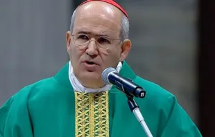 O cardeal português José Tolentino de Mendoça lê a homilia do papa Francisco no Jubileu dos Artistas