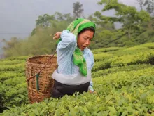 Imagem referencial de uma mulher dedicada à agricultura.