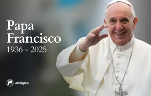 Papa Francisco morre aos 88 anos