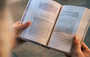 O livro “Novenário” da editora Minha Biblioteca Católica tem mais de 80 novenas