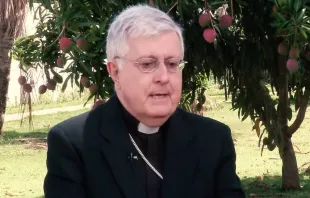 O núncio apostólico no Brasil, dom Giambattista Diquattro