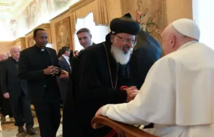 Papa Francisco durante a audiência com os ortodoxos hoje (26)