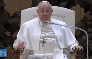 Papa Francisco durante a Audiência Geral de 28 de fevereiro de 2024.