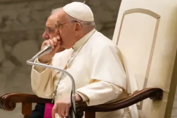Papa Francisco na Audiência Geral de 27 de dezembro de 2023.