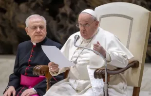 Papa Francisco na audiência Geral de hoje (31)