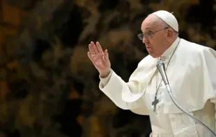 Papa Francisco durante uma Audiência Geral no vaticano