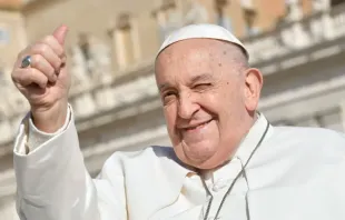 Imagem ilustrativa do papa Francisco em Audiência Geral.