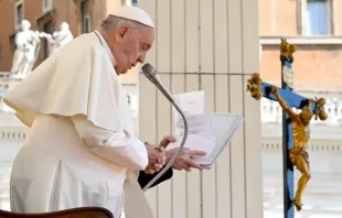 Papa Francisco na Audiência Geral de 17 de abril
