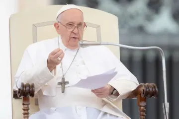 O papa Francisco na Audiência Geral de 20 de setembro.