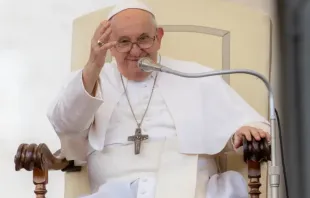 Papa Francisco na Audiência Geral de 25 de outubro de 2023.