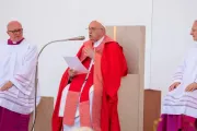 Papa Francisco na missa da véspera de Pentecostes 2024 em Verona, Itália