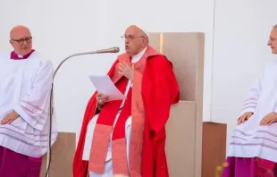 Papa Francisco na missa da véspera de Pentecostes 2024 em Verona, Itália