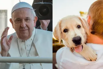 Papa Francisco na audiência geral - Uma pessoa carrega um cachorro.