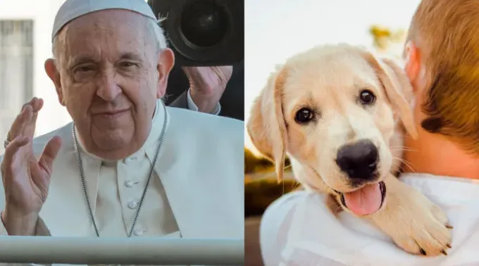 Papa Francisco na audiência geral - Uma pessoa carrega um cachorro.