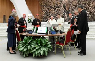 Papa Francisco na última congregação da assembleia geral do Sínodo da Sinodalidade no sábado (28).