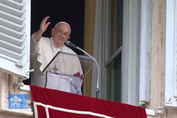 Papa Francisco na oração do Ângelus, 1º de novembro de 2023.