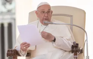 Papa Francisco na Audiência Geral de 17 de abril.