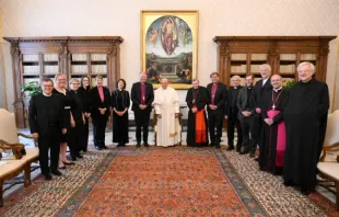 Papa Francisco durante audiência com luteranos.