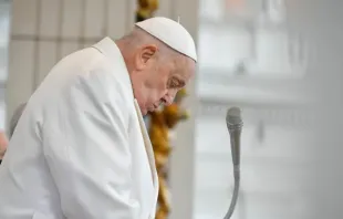 Papa Francisco durante Audiência Geral