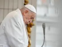 Papa Francisco durante Audiência Geral