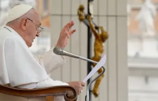 Papa Francisco na Audiência Geral de 19 de junho.