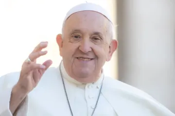 Papa Francisco cumprimenta na audiência geral de 8 de novembro.